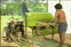 VIDEOS SWF PREVENCION CAMPO (3)